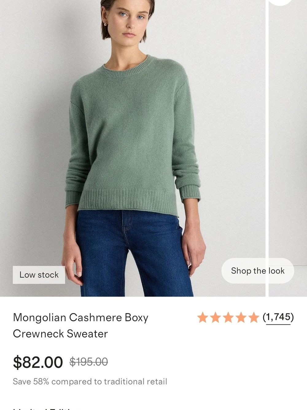 Mongolian Cashmere Boxy Crewneck Sweater - Sea Foam Green